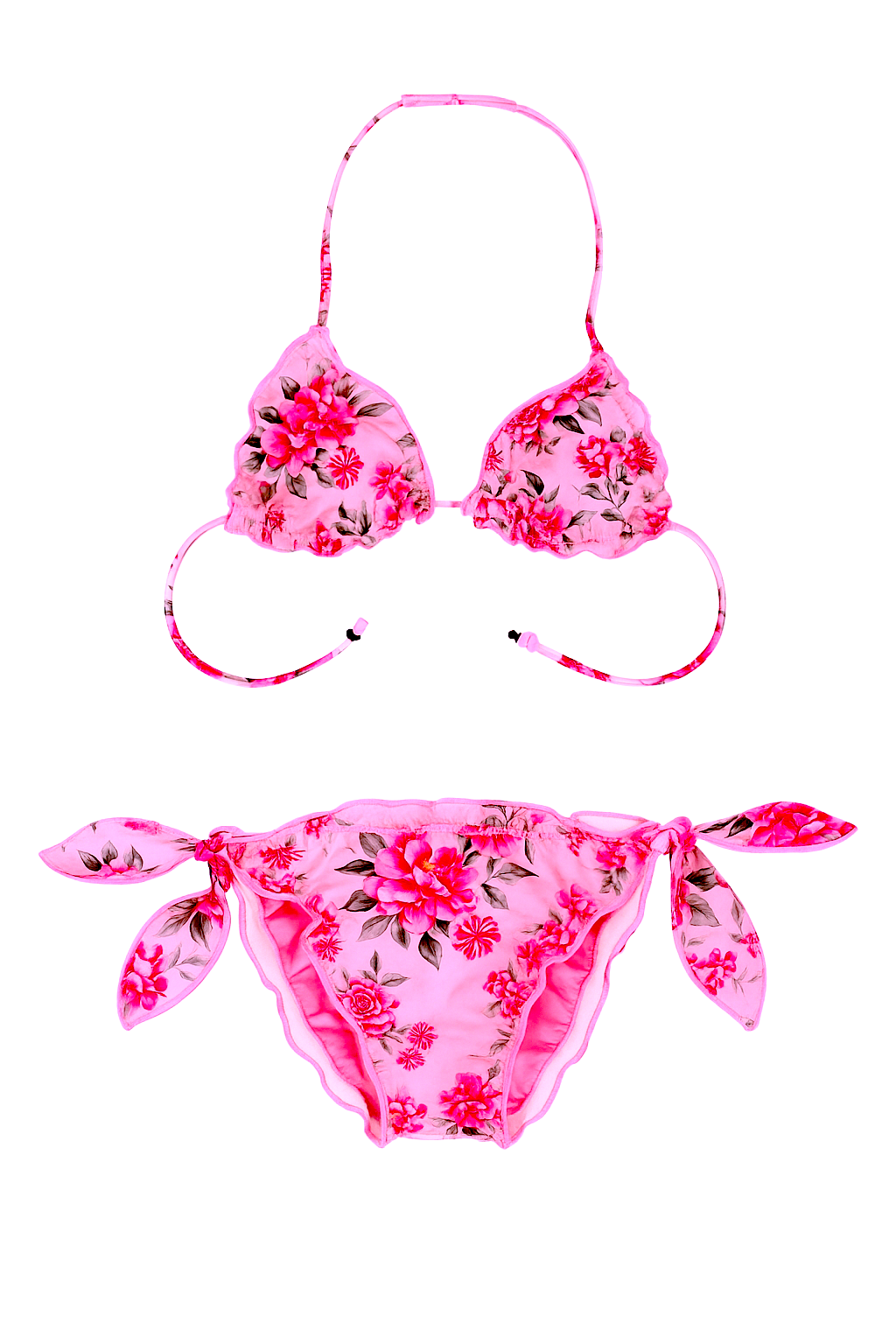 TORTUGA WILD ROSE
